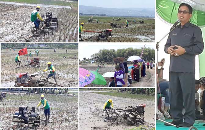 Dukung LTT Kementan, Sekditjen PSP Apresiasi Lomba Traktor di Tuban